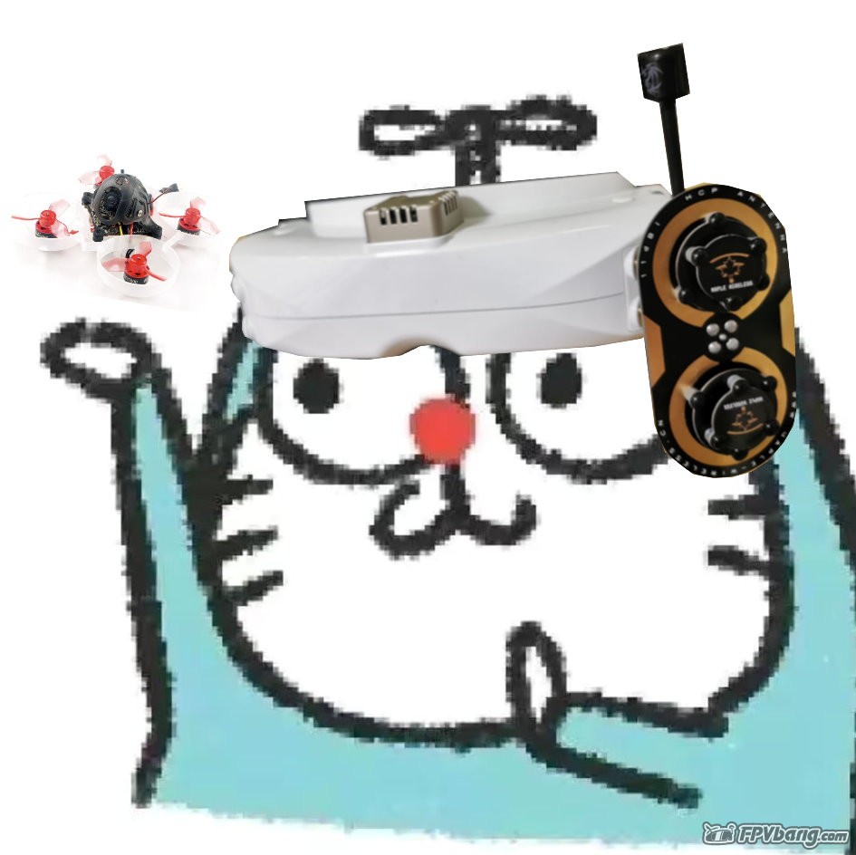waitrytry_fpv.jpeg
