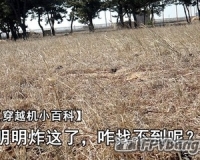【Yang_FPV】让电机代替BB响发出声音，听声辨位找飞机